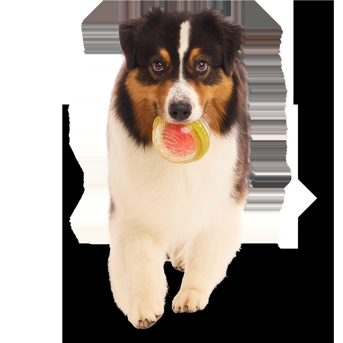 RemembrallTM Super Chewer Durable Fetch Dog Toy