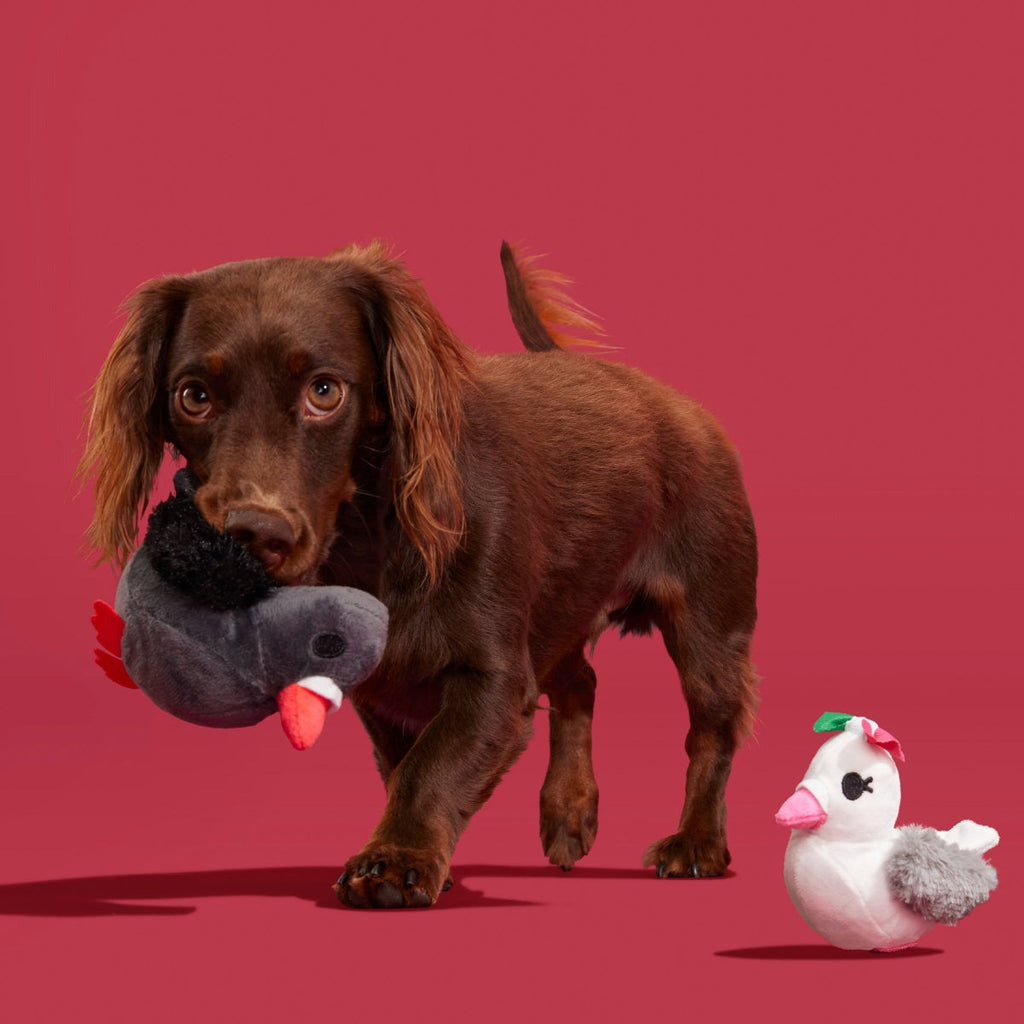 Coo Amore Plush Multi-Part + Tug Dog Toy