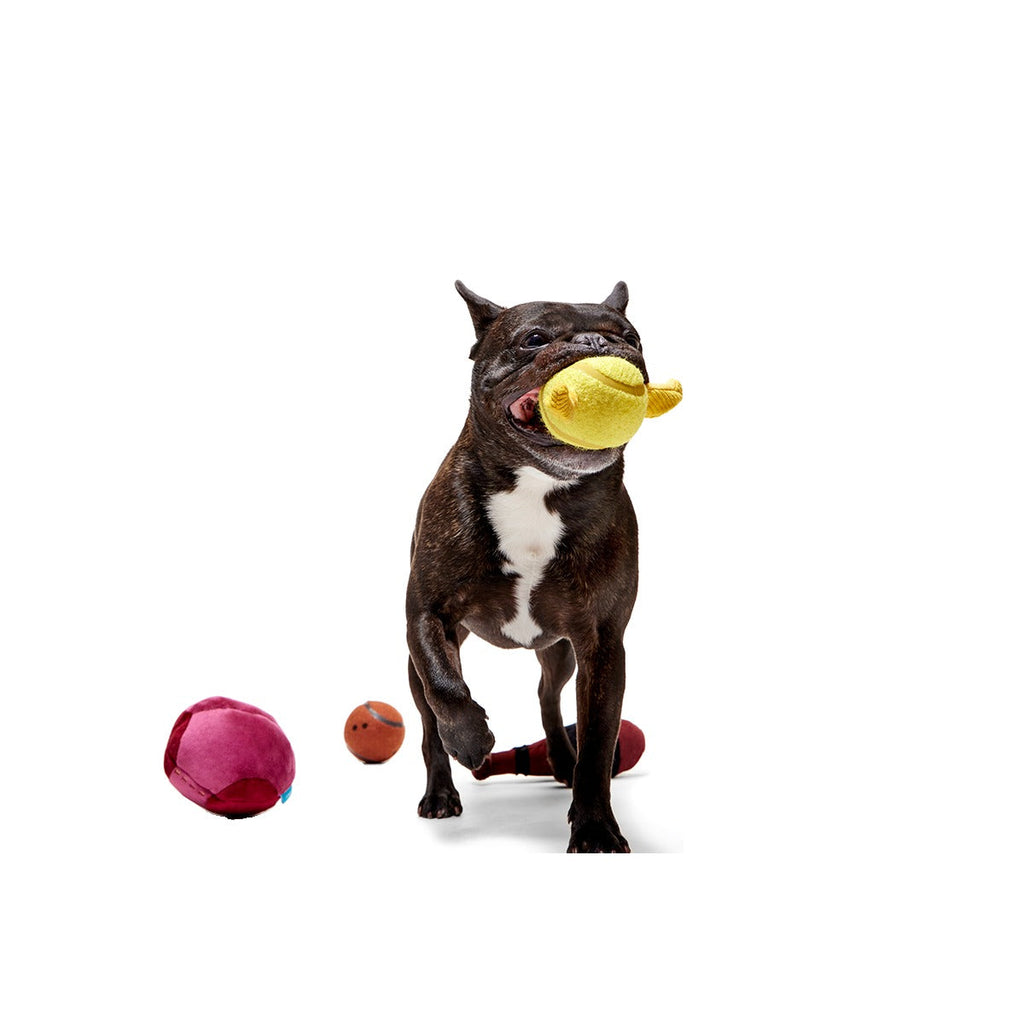 QuidditchTM Equipment Pack Plush Multi-Part + Tennis Ball Fetch Dog Toy