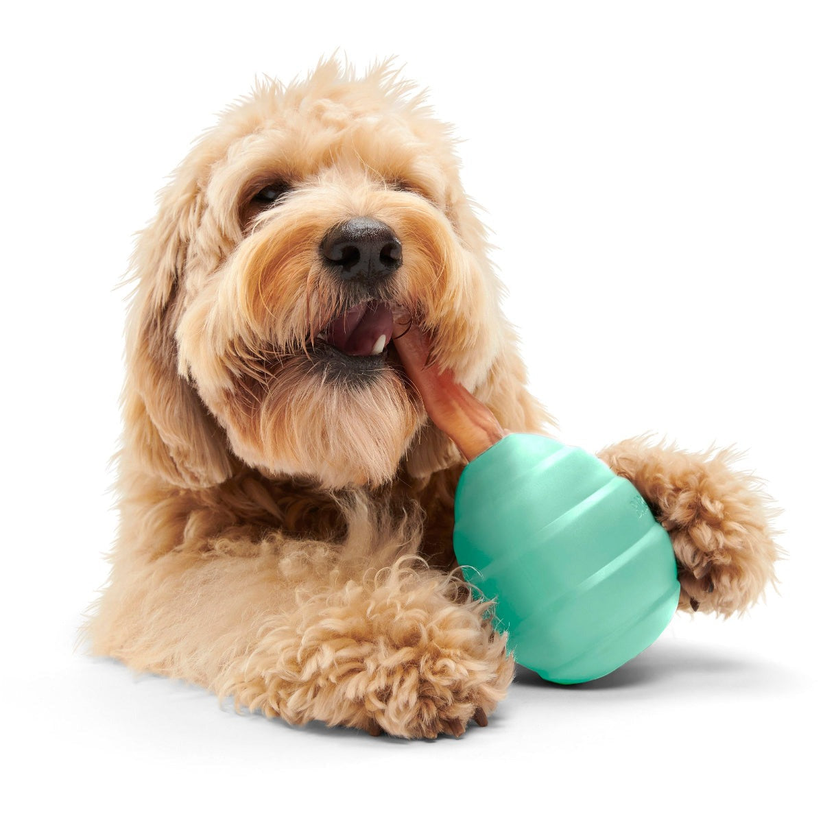 Pup's Treat Pinecone Toy Super Chewer Durable Enrichment + Fetch Dog Toy