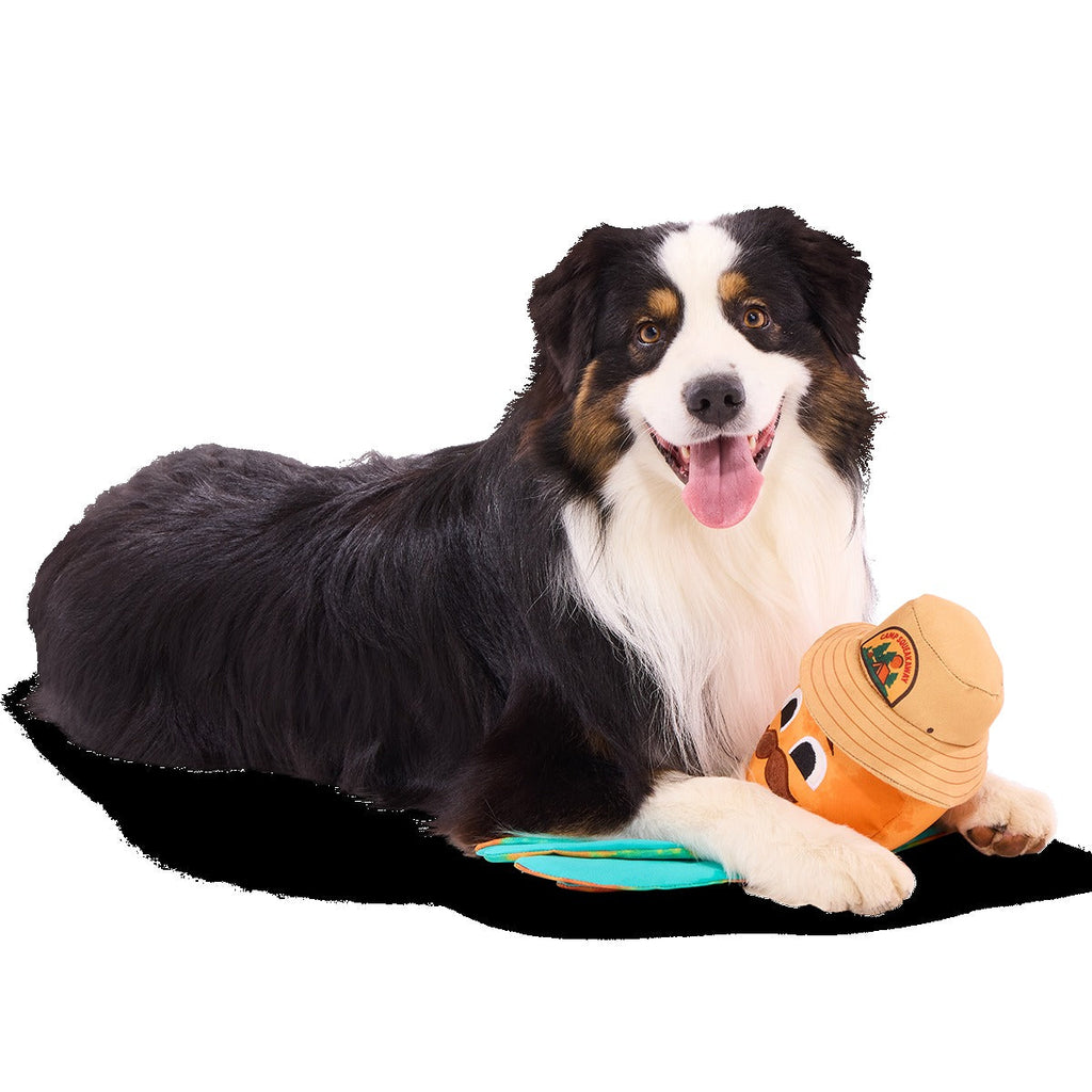 Ollie the Octopus Club, Plush Tug Monthly Dog Toys