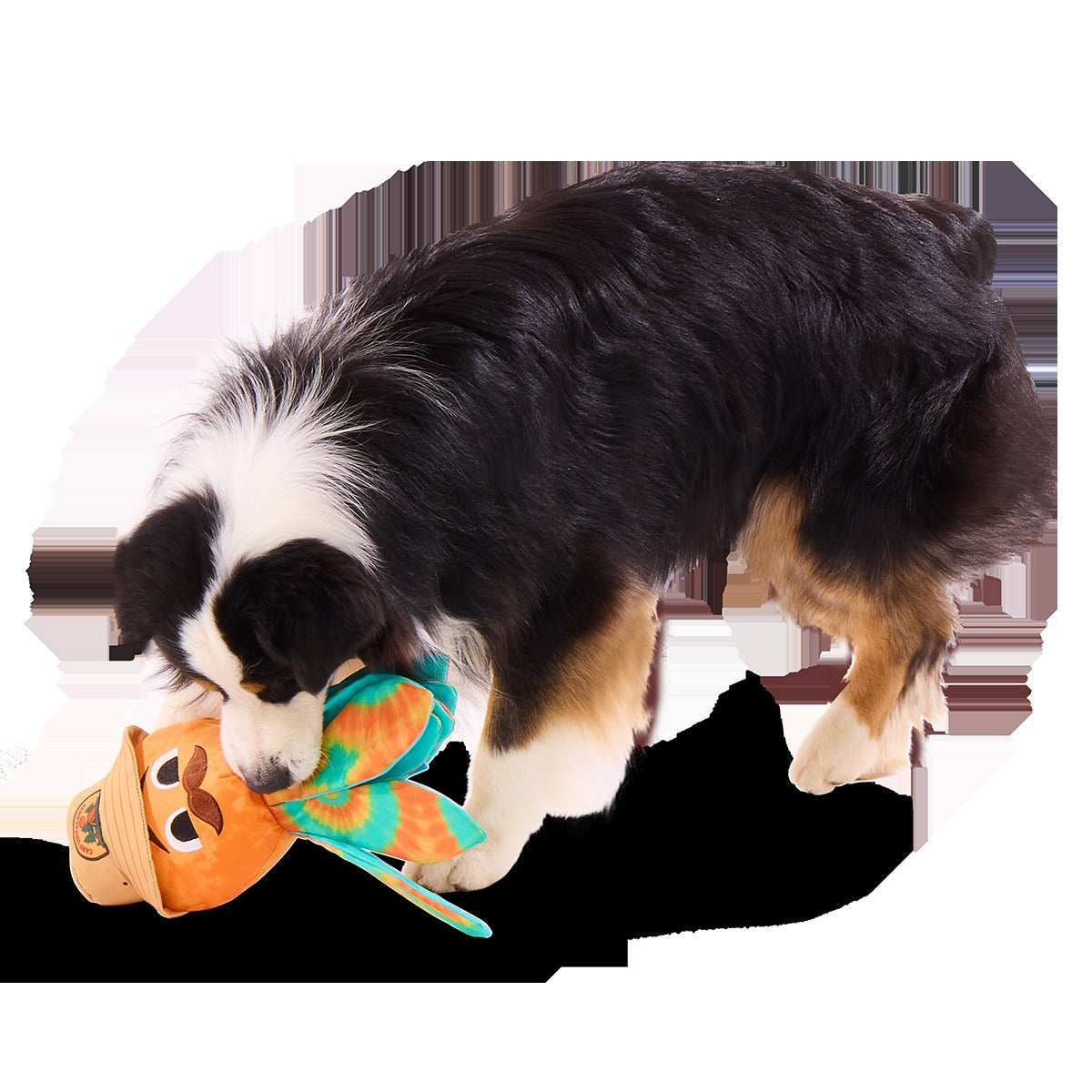 Ollie the Octopus Club, Plush Tug Monthly Dog Toys