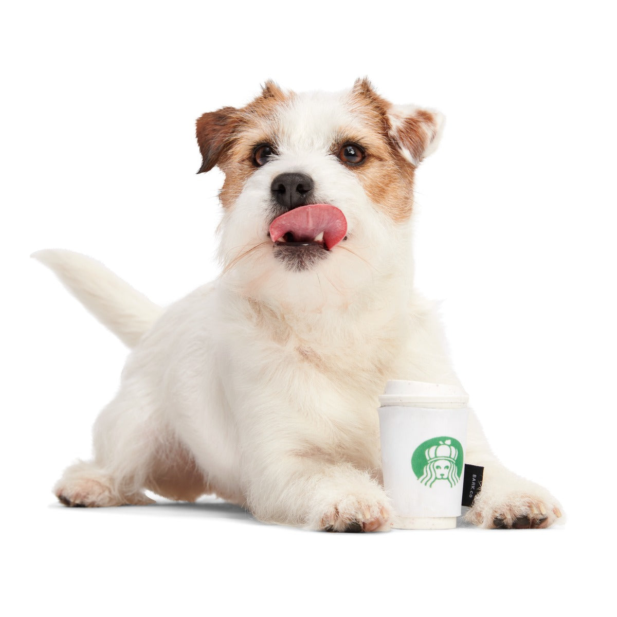 Pupkin Spice Yappuccino Durable Super Chewer 2-in-1 Rip and Reveal + Enrichment Dog Toy