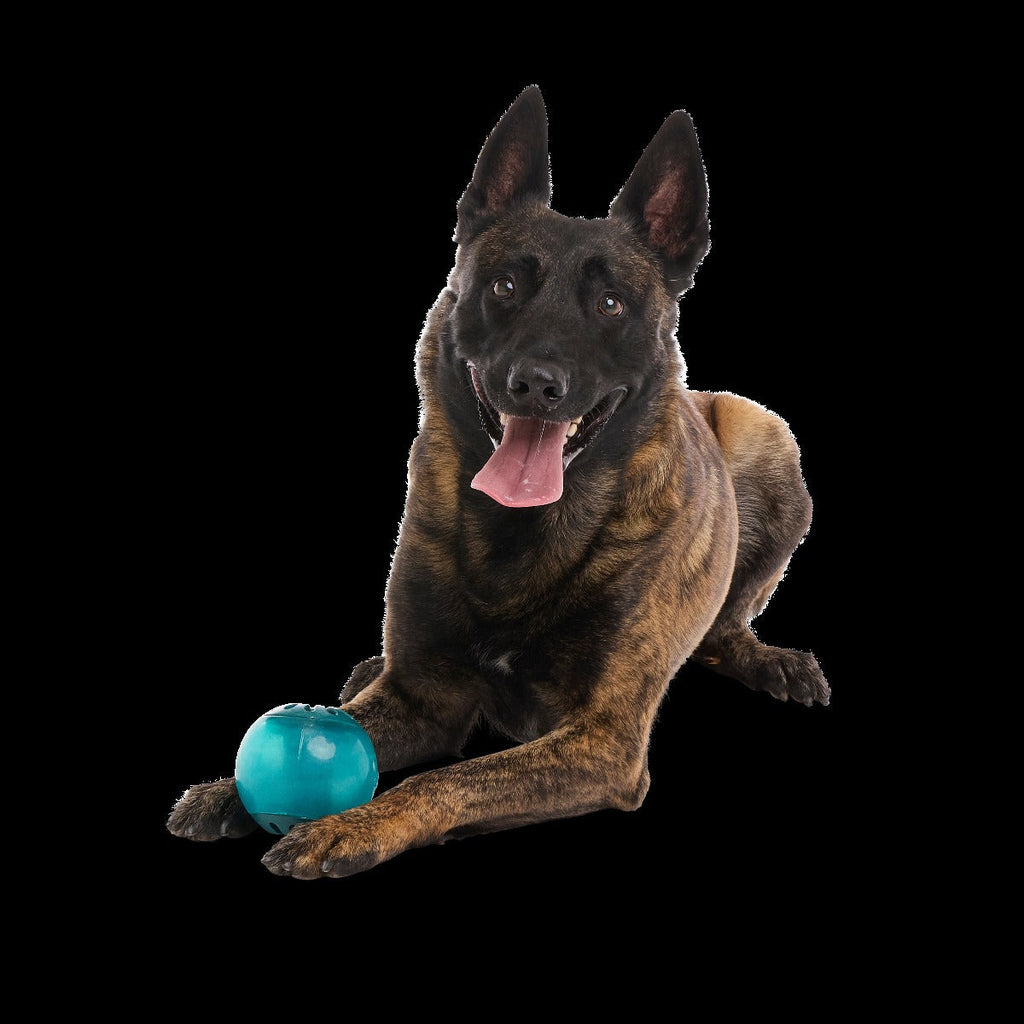 Teal Vortex Durable Super Chewer Enrichment + Fetch Dog Toy