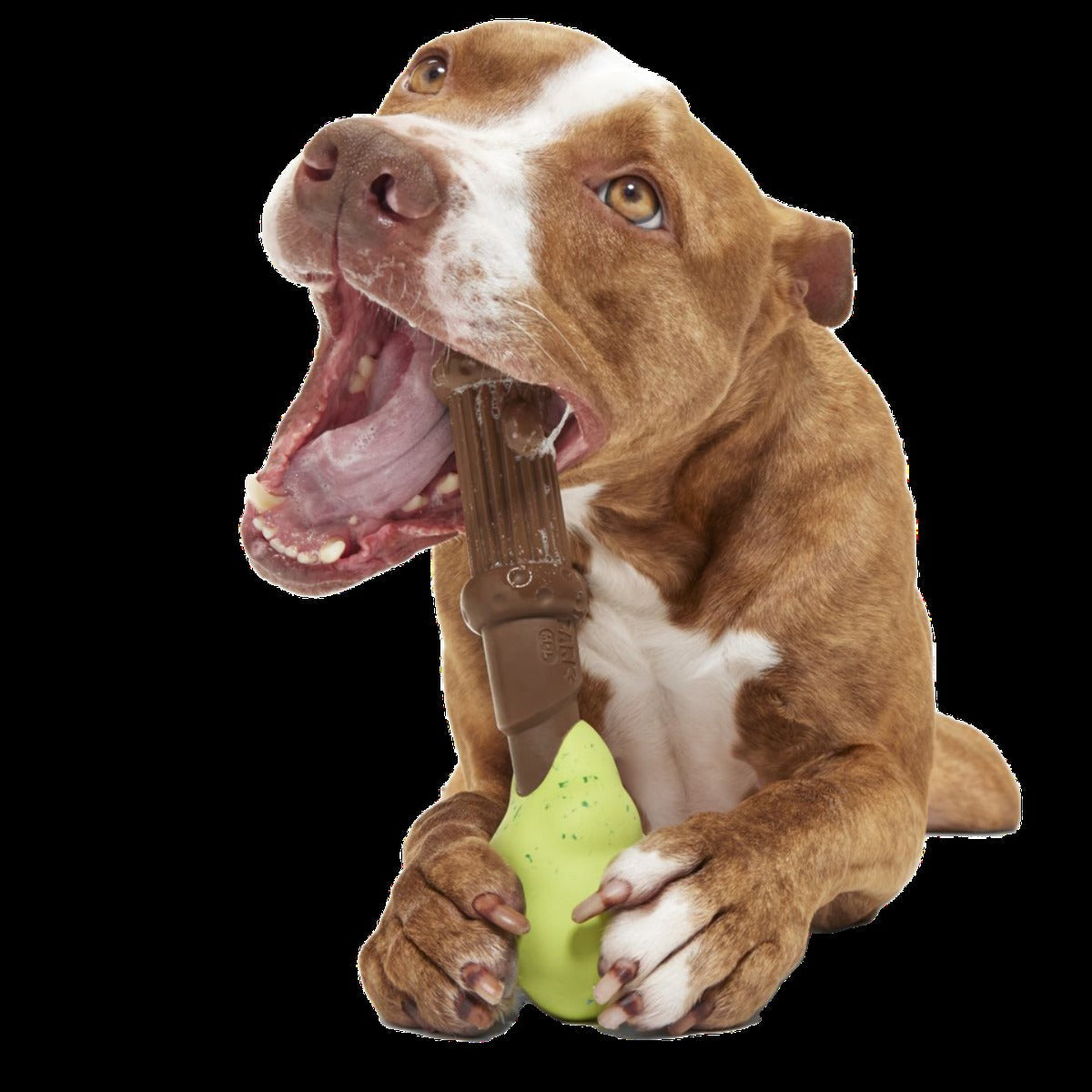 Harry's BogeyTM Wand Super Chewer Durable Gnaw Dog Toy