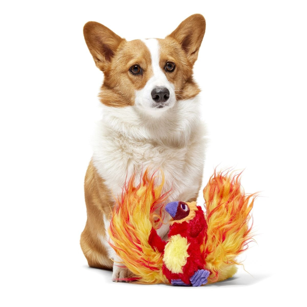 FawkesTM Plush Tug Dog Toy