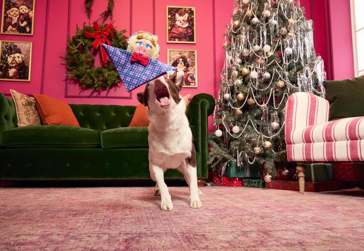 Miss Piggy as “Emily Catch-it” Plush Tug Dog Toy
