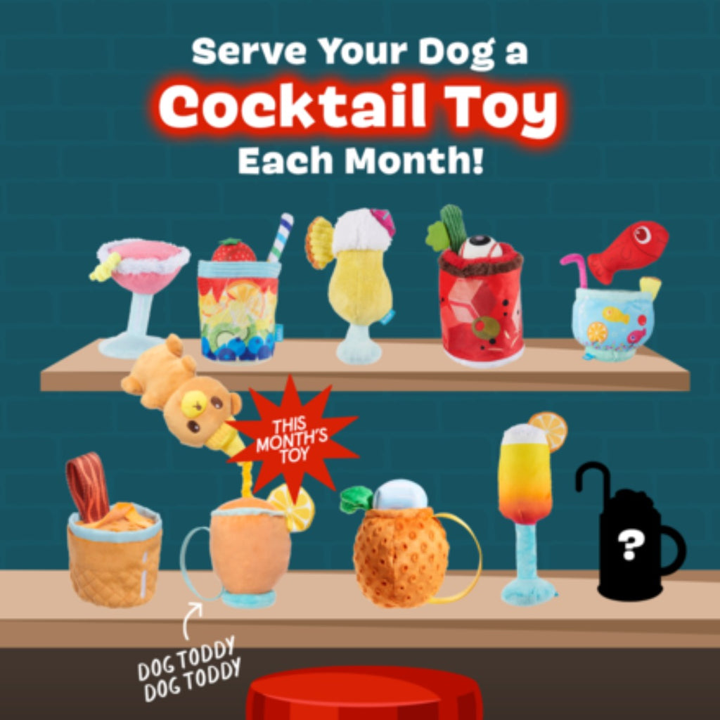 Dog Toddy