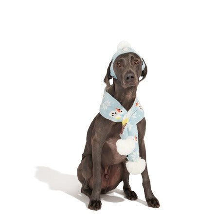 The Snowman Matching Set For Dogs And Humans