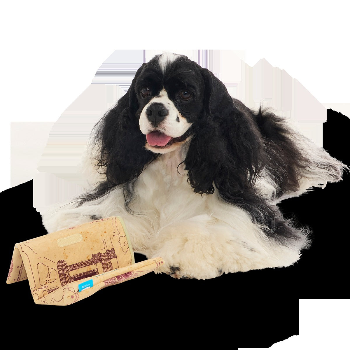 Marauder’s MapTM Plush Tug Dog Toy