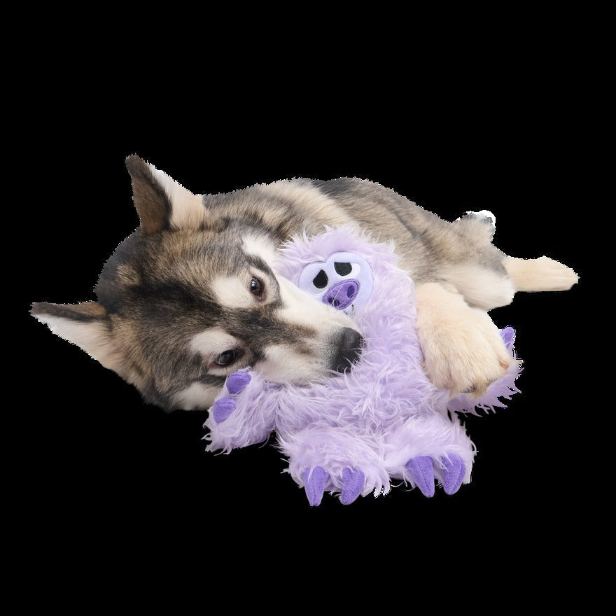 Slennifer Sloth Plush Dog Toy