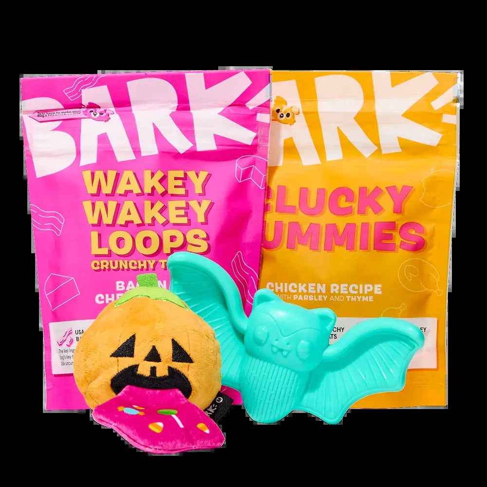 BARK Monthly Subscription + Cardboard Box