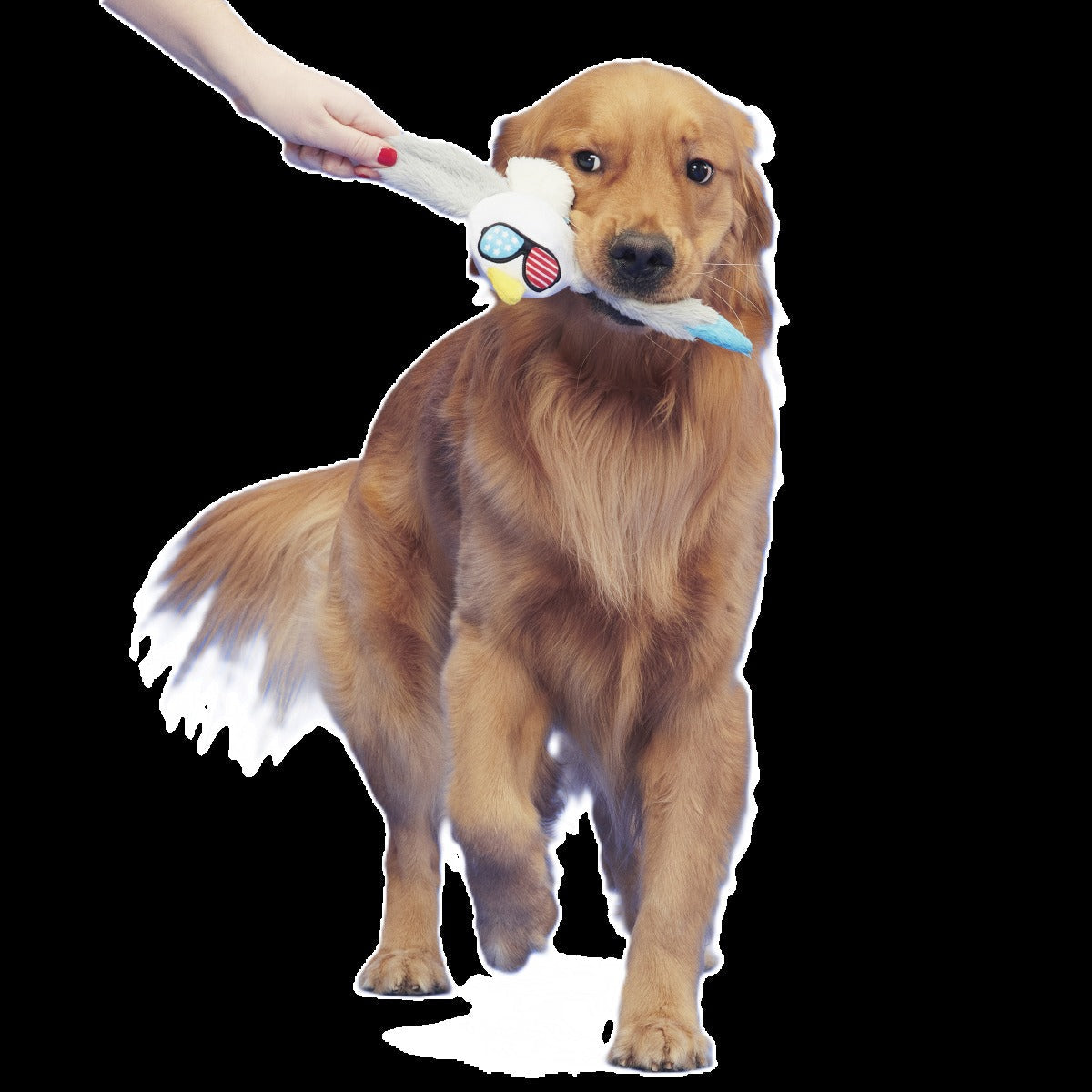 Free Gull Plush Tug Dog Toy