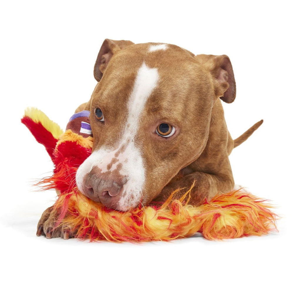 FawkesTM Plush Tug Dog Toy