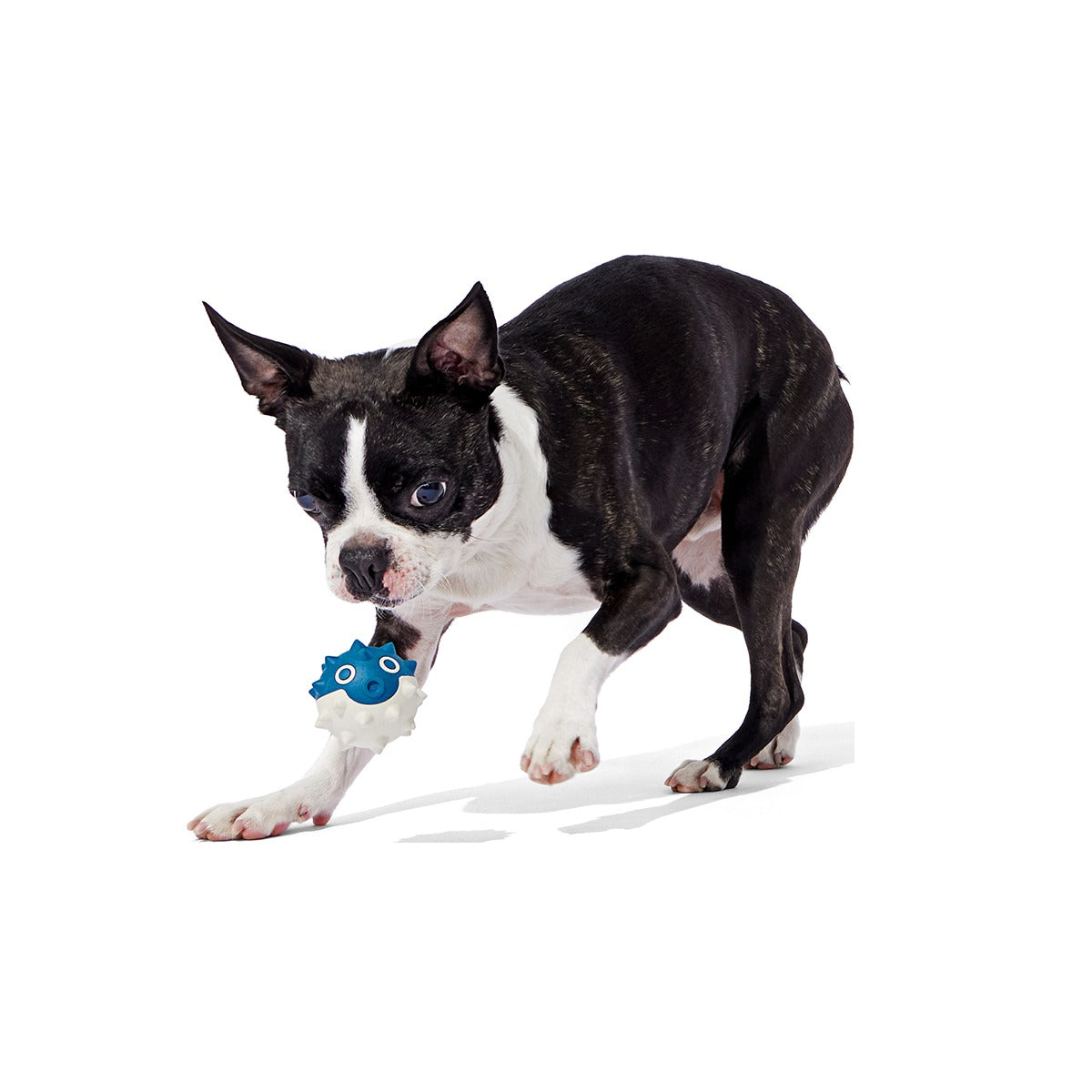 Throwfish Super Chewer Durable Fetch Dog Toy