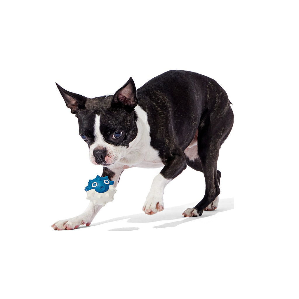 Throwfish Super Chewer Durable Fetch Dog Toy