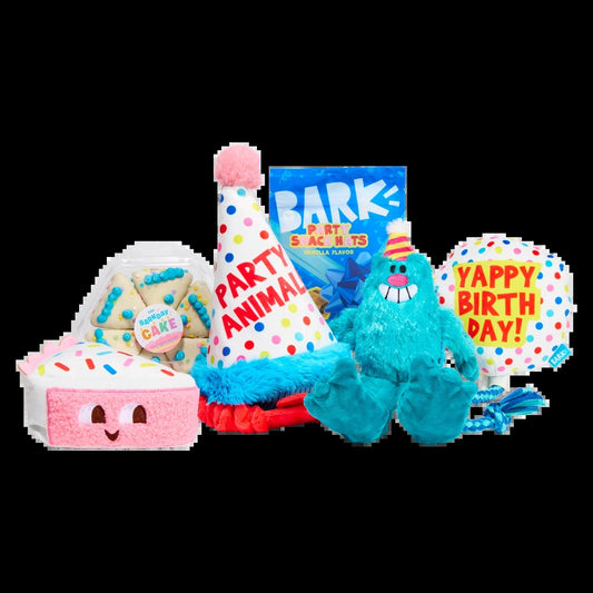 BARK 12 Month Subscription - The Birthday Box Double Deluxe First Box
