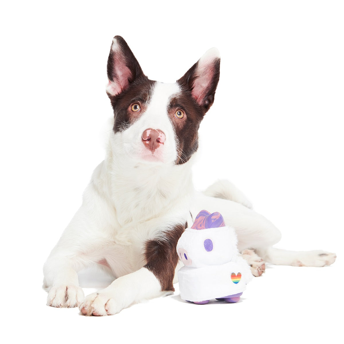 Disco Giddy Super Chewer Durable 2-in-1 Dog Toy