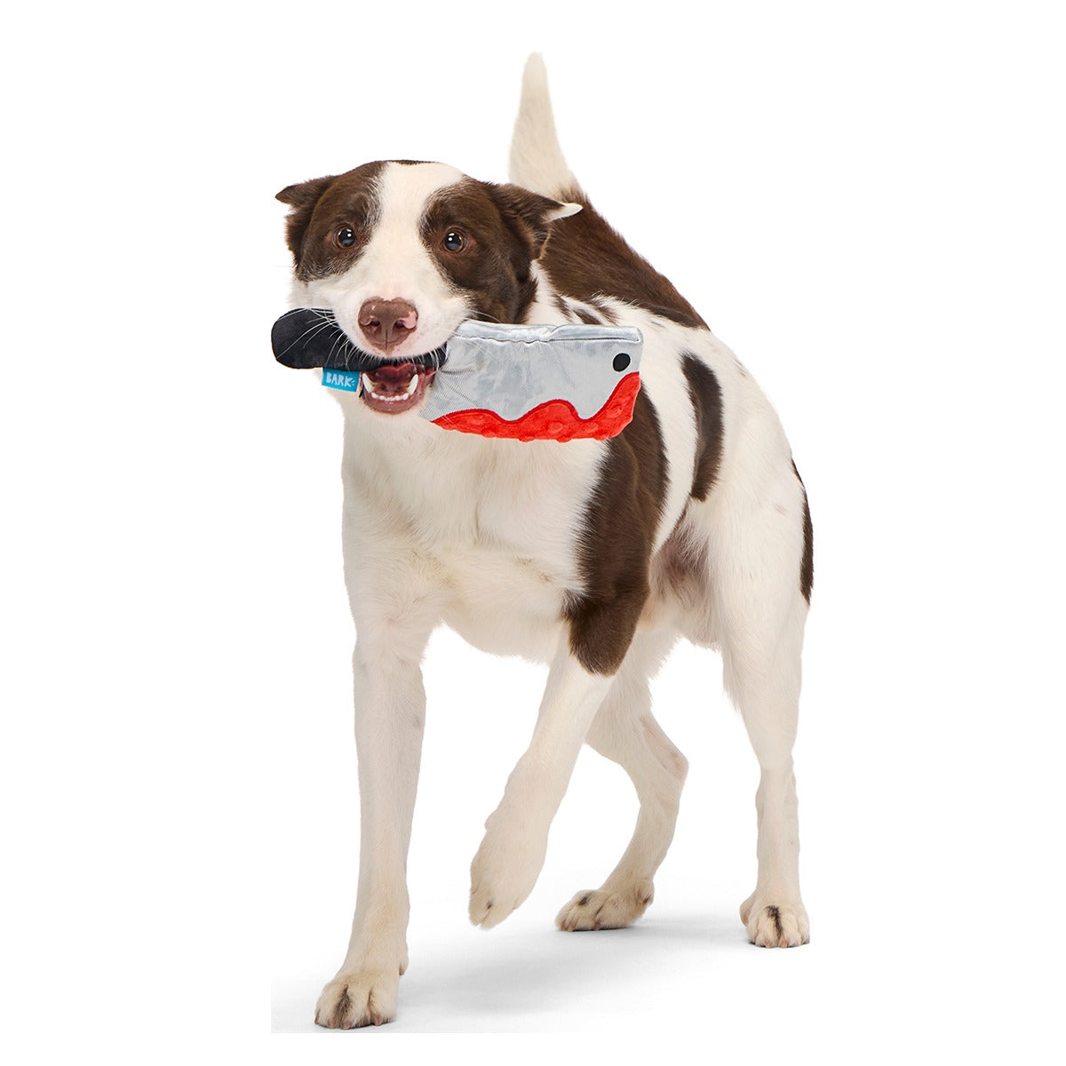 Squeakopath Knife Plush Tug Dog Toy
