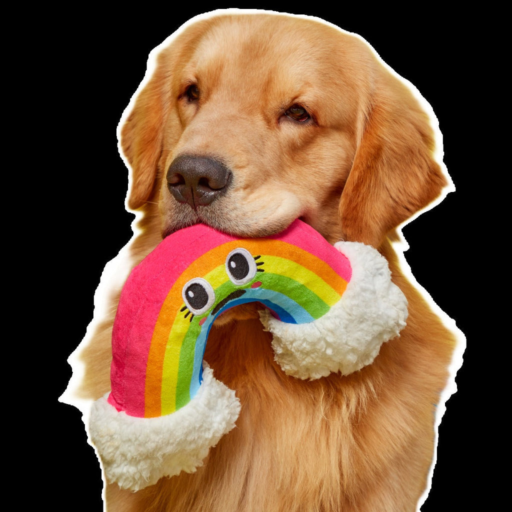 Mr. Blue Sky Plush Tug Dog Toy