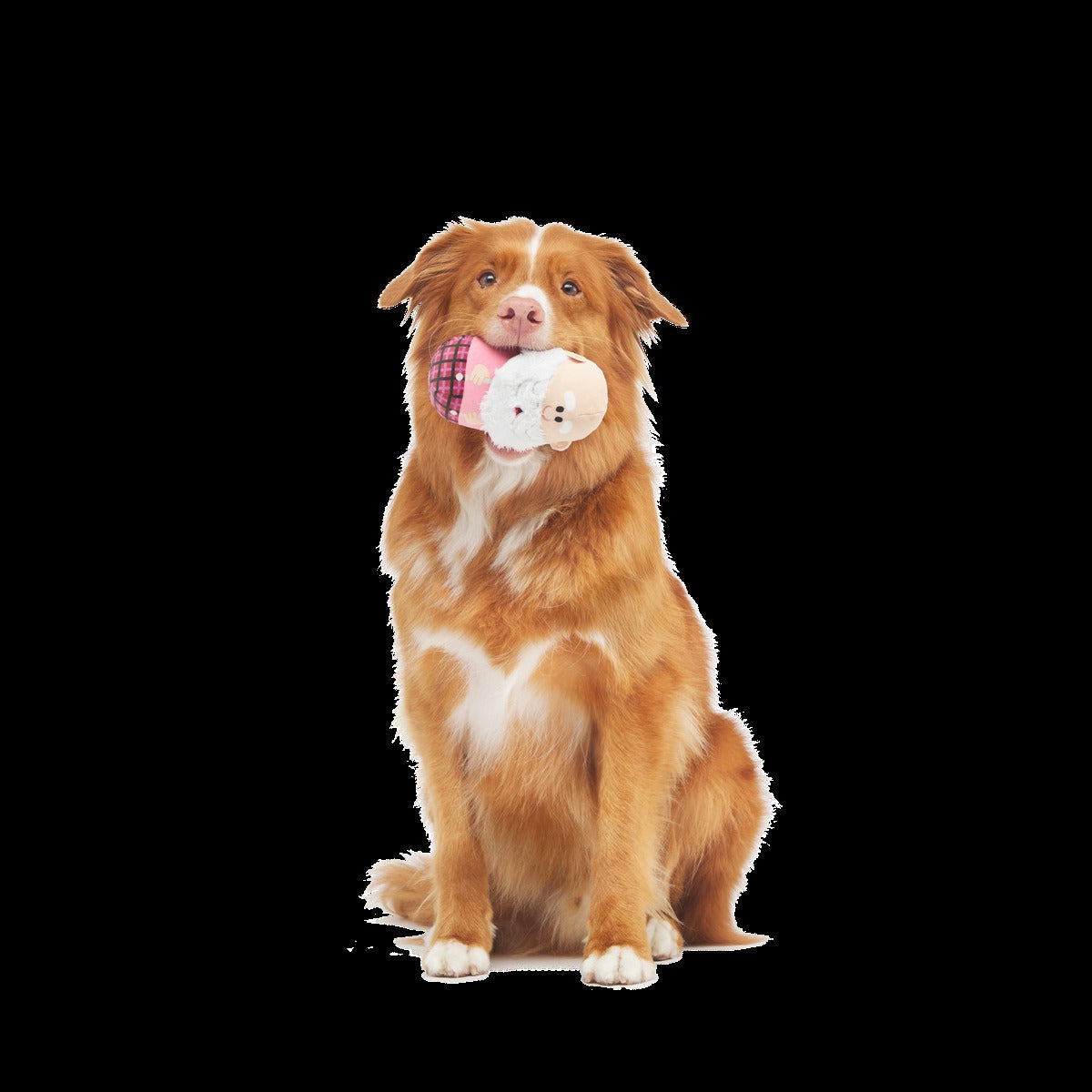Ol' Kris KringleTM Plush Multi-Part Dog Toy