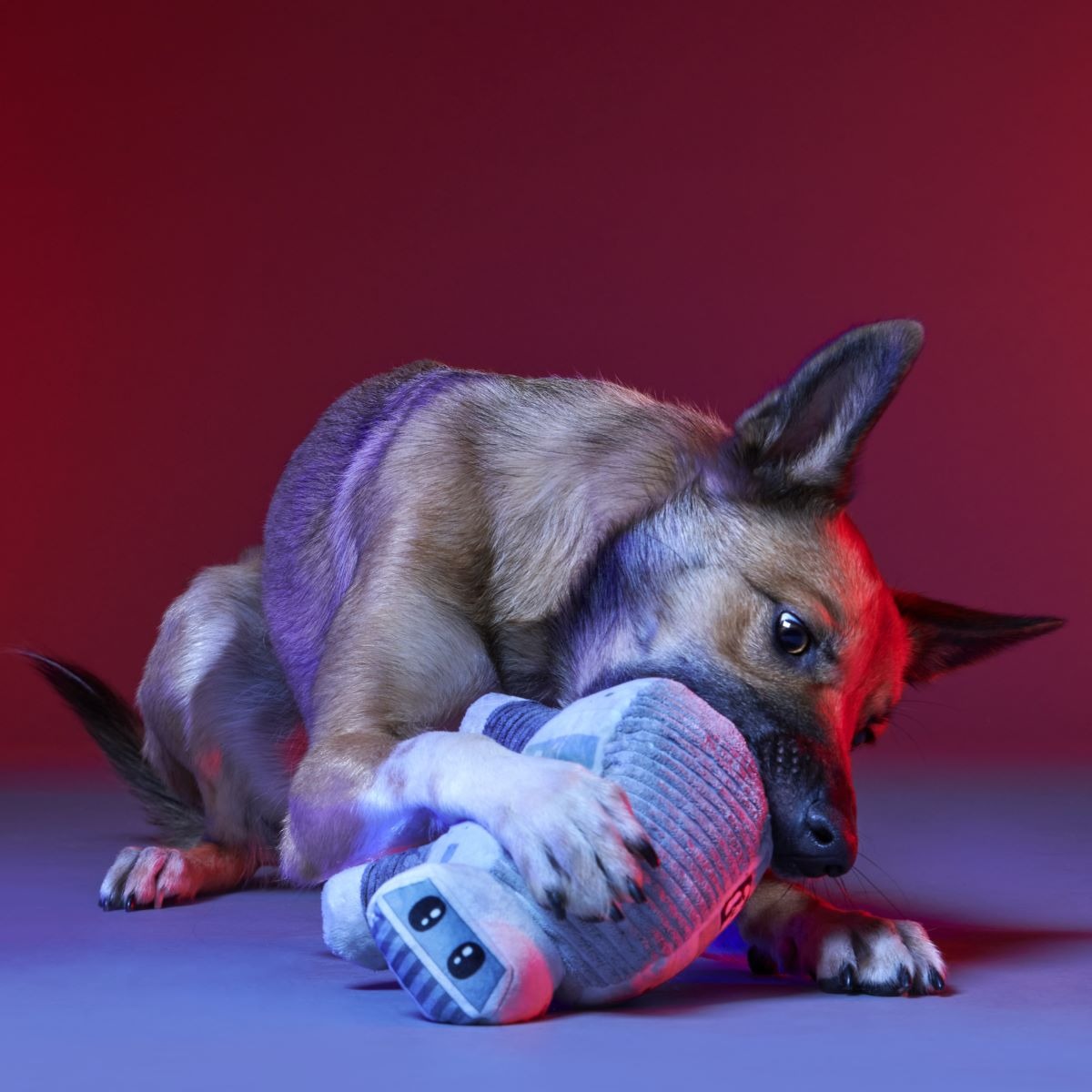 AT-ATTM Imperial Dog Walker Plush Tug Dog Toy