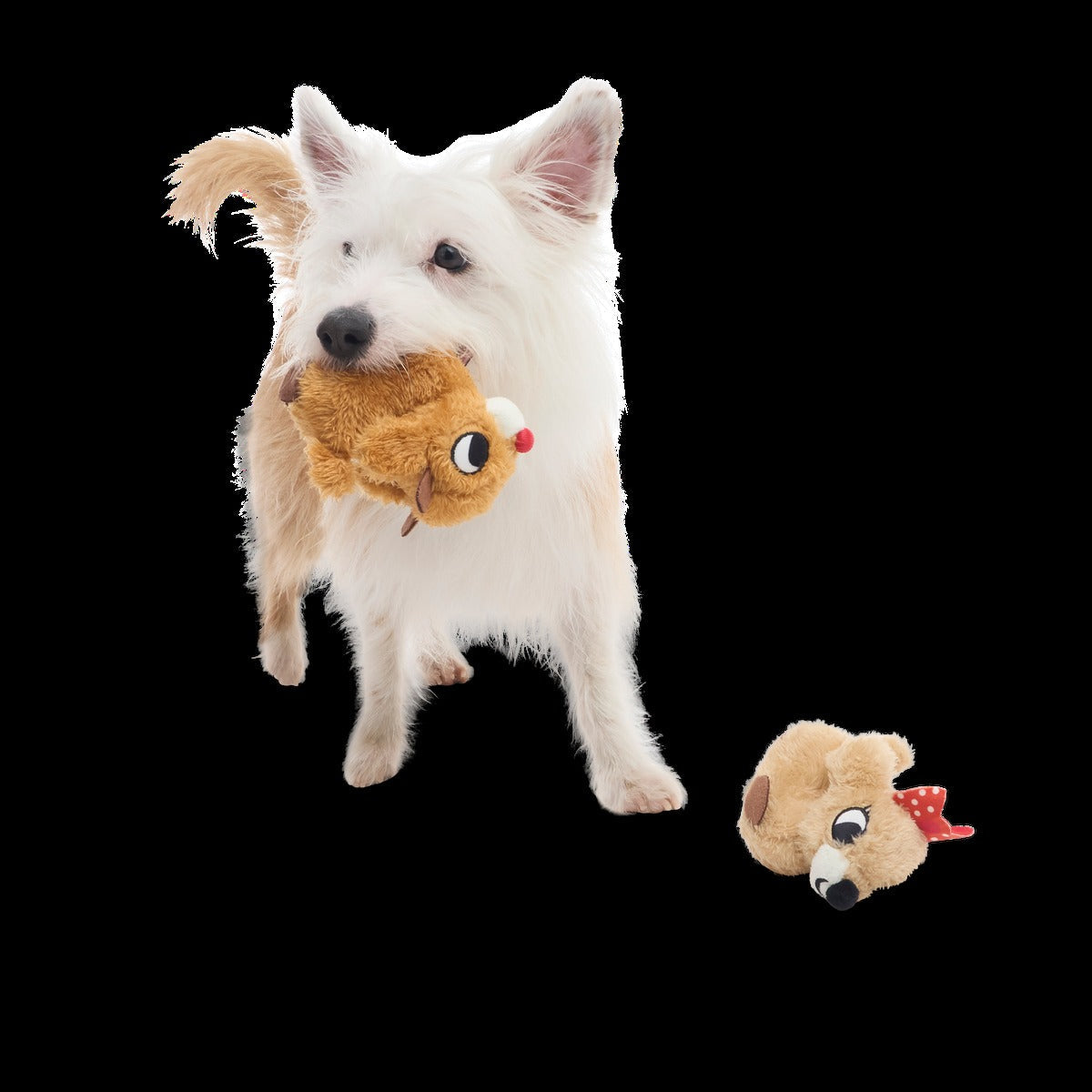 Rudolph® Holiday Gift BarkBox