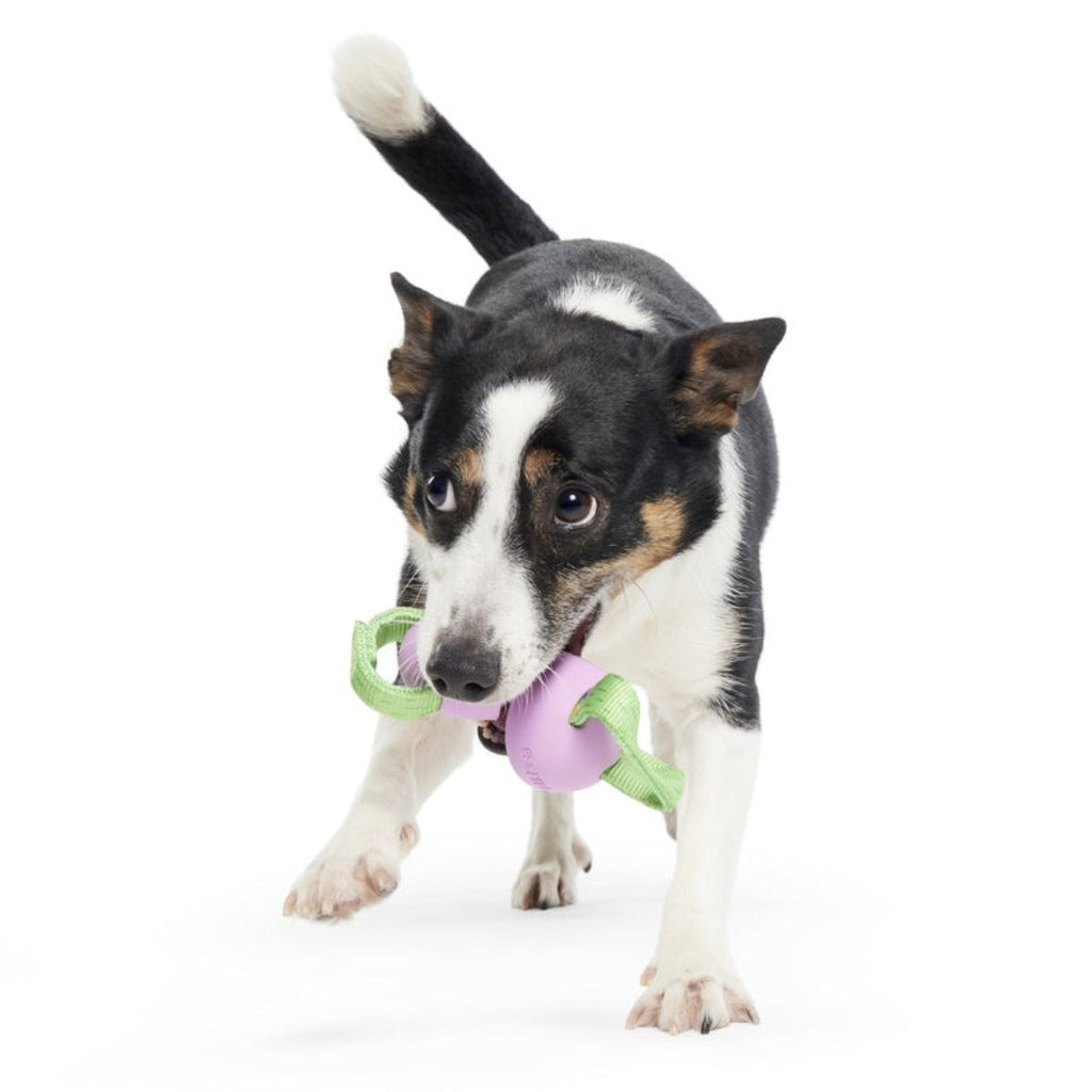 Egg-O-War Tug Super Chewer Durable Tug + Enrichment Dog Toy
