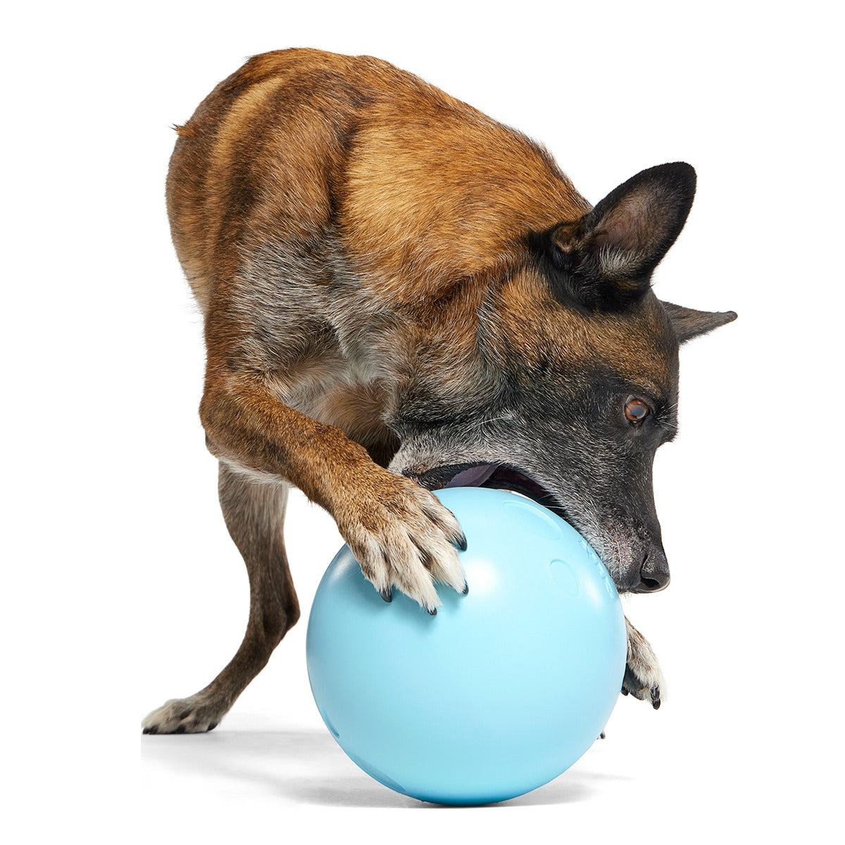 Eggstra Large Easter Egg Super Chewer Durable Extra-Large + Fetch Dog Toy