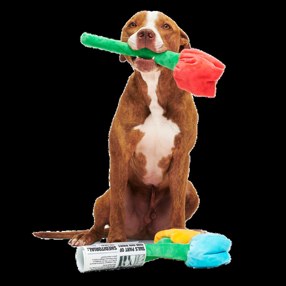 Cheer Up Boopquet Plush Tug + Multi-Part + Enrichment Dog Toy