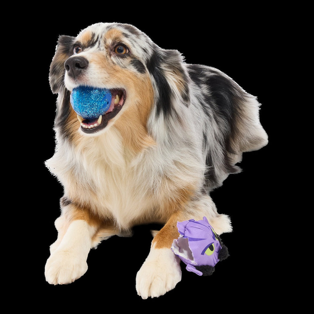 Zeb OrreliosTM Super Chewer Durable 2-in-1 + Fetch Dog Toy