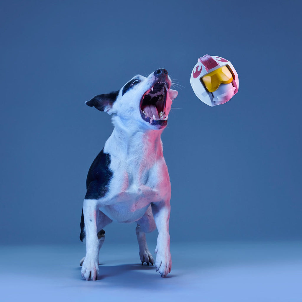 Light Side Star WarsTM Super Chewer Durable Bundle Fetch + Gnaw Dog Toy