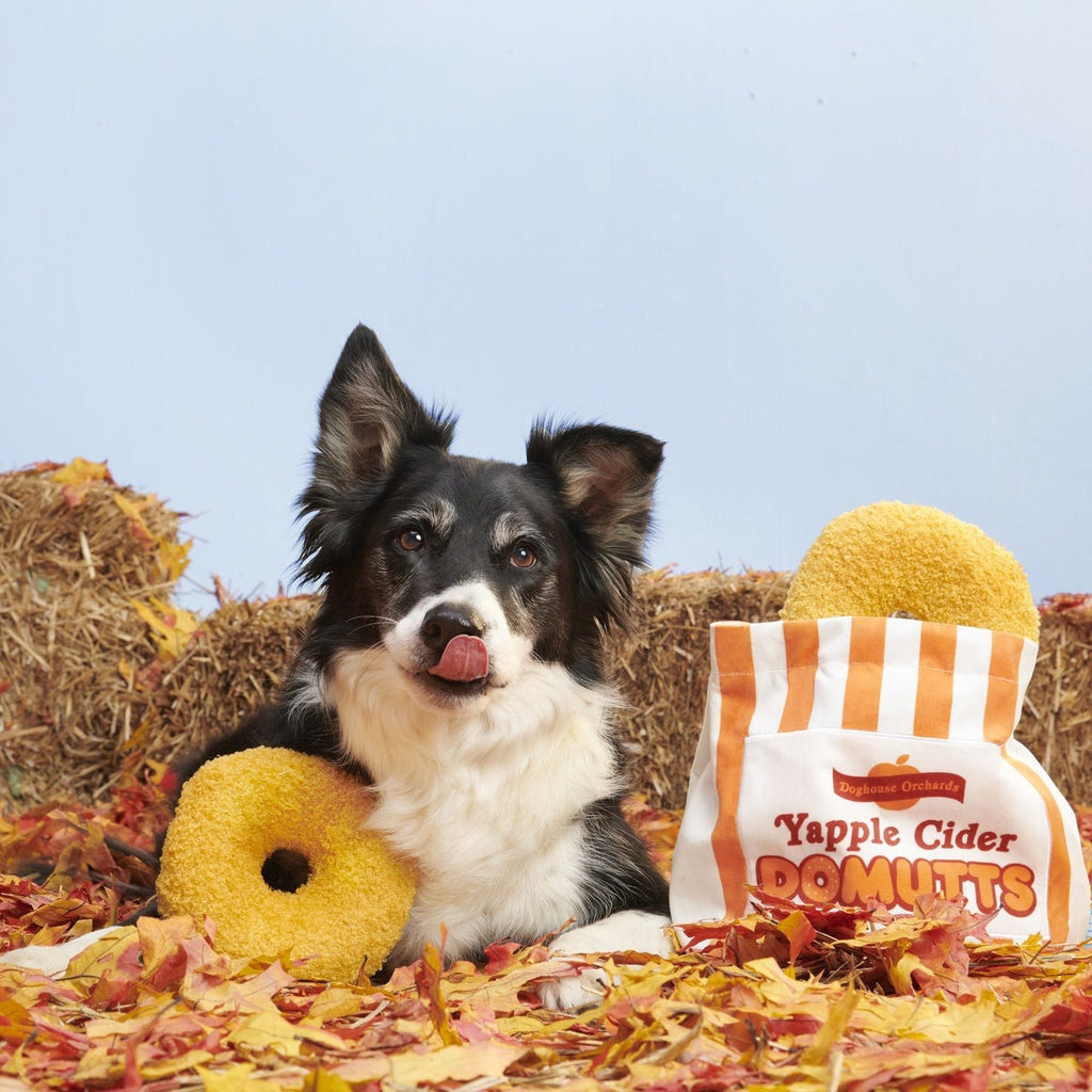 Yapple Cider Domutts Plush Extra-Large + Multi-Part + Enrichment Dog Toy