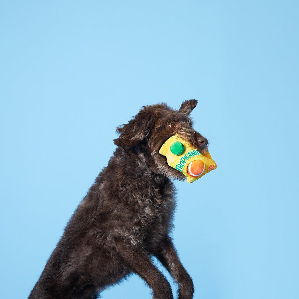 Fresh Squeaked OJ Plush Multi-Part Enrichment + Fetch Dog Toy