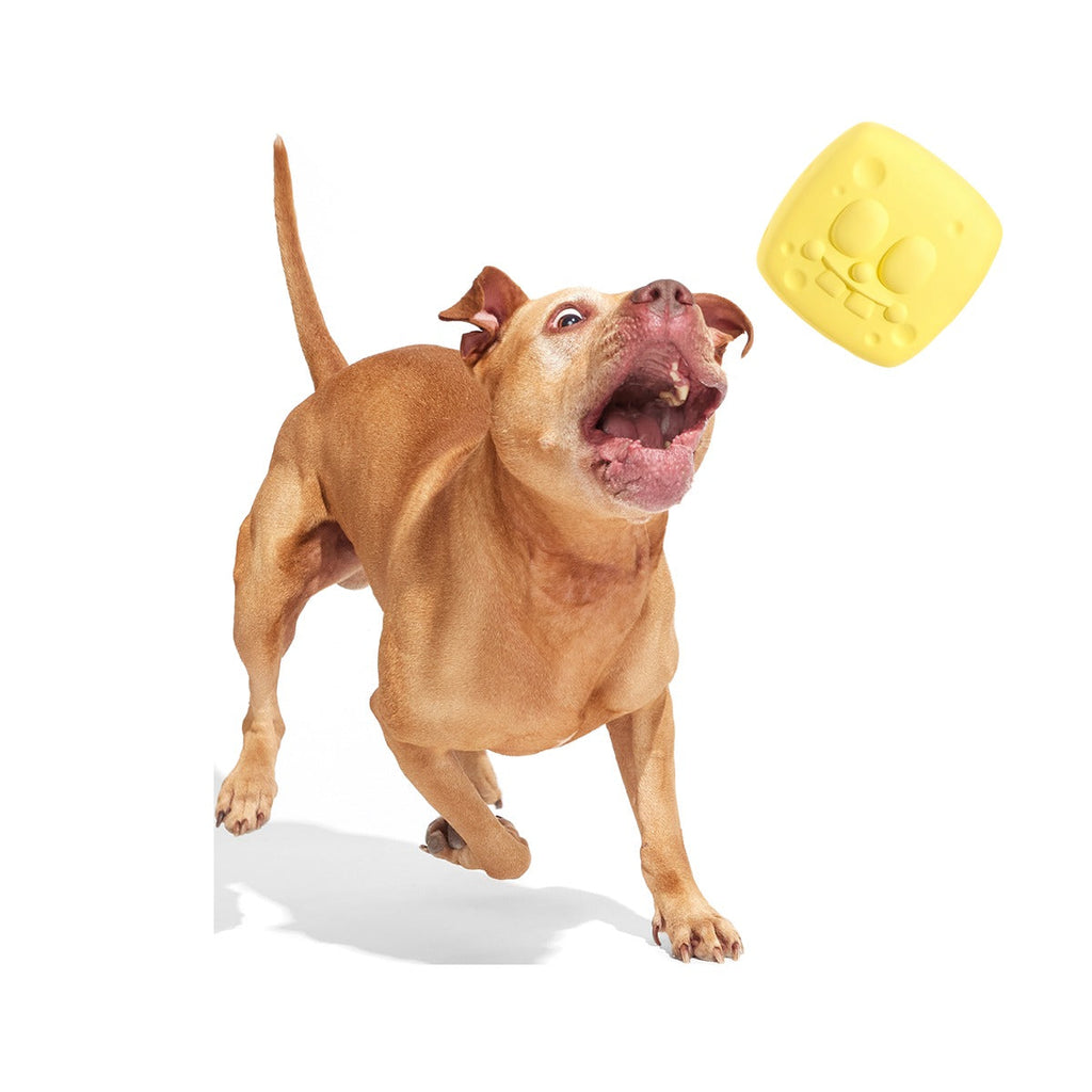 SpongeBob SqueakPants Super Chewer Durable Fetch Dog Toy