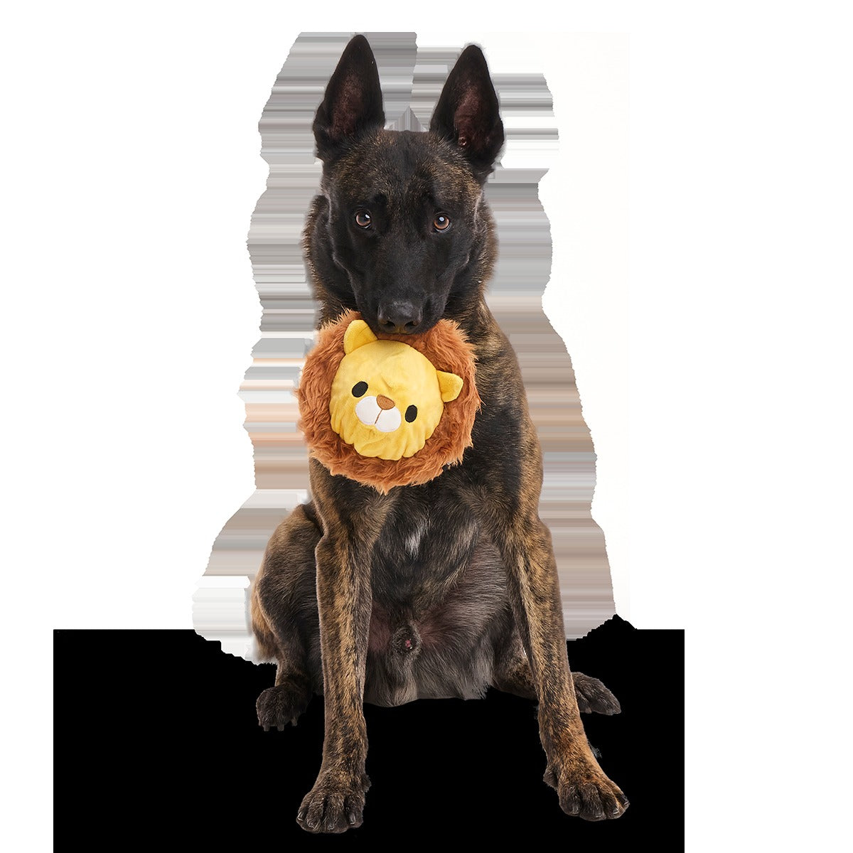 Lionel Lion Durable Super Chewer 2-in-1 Rip and Reveal + Fetch Dog Toy