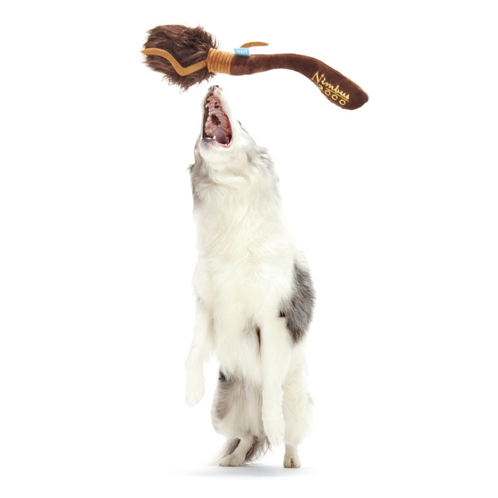 Nimbus 2000TM Broomstick Plush Tug Dog Toy