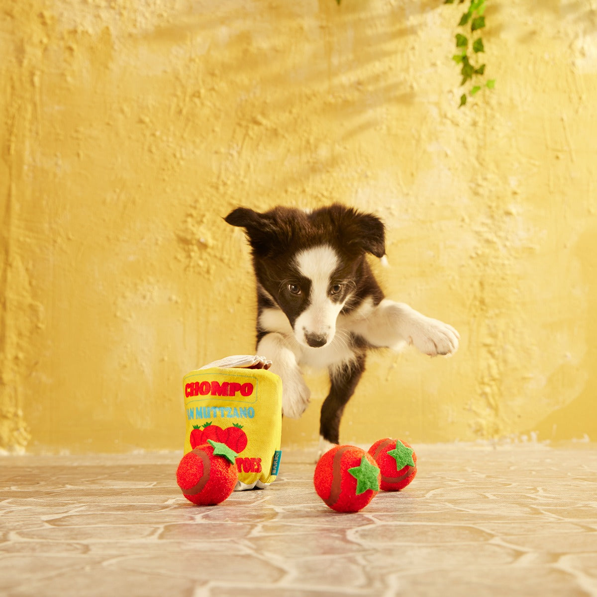 San Muttzano Tomatoes Plush Multi-Part Enrichment + Fetch Dog Toy