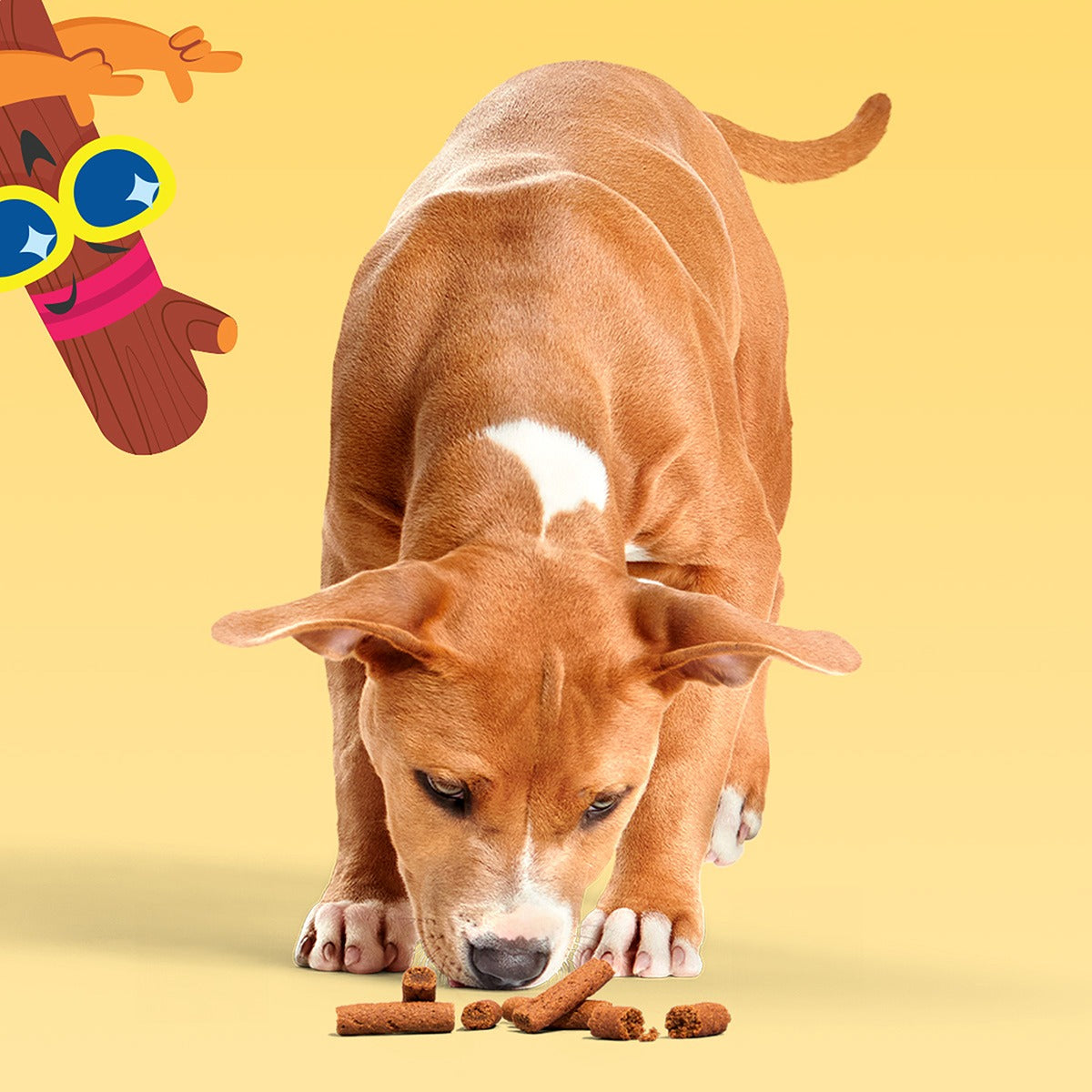 Beefy Meat Hunks Dog Treats, 24 oz