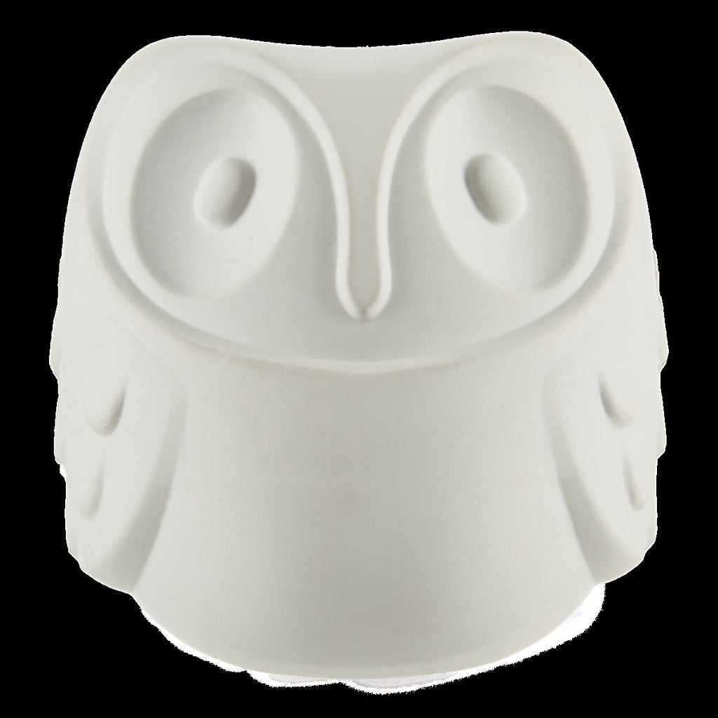 HedwigTM the Owl Super Chewer Durable 2-in-1 + Fetch Dog Toy