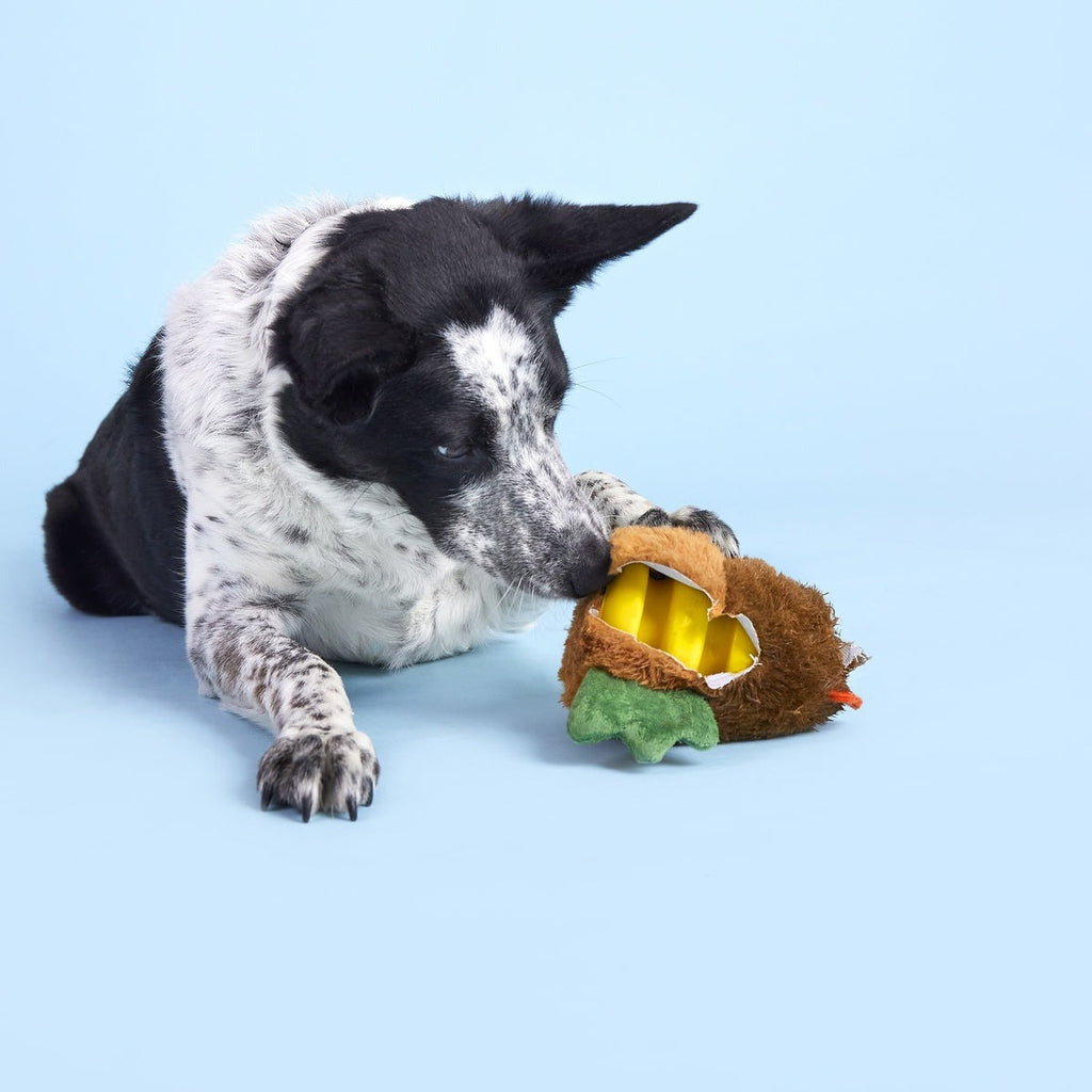 Fowl Play Durable Super Chewer 2-in-1 Rip and Reveal + Enrichment Dog Toy