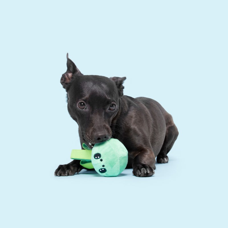 Galactopus Durable Super Chewer 2-in-1 Rip and Reveal + Tug Dog Toy