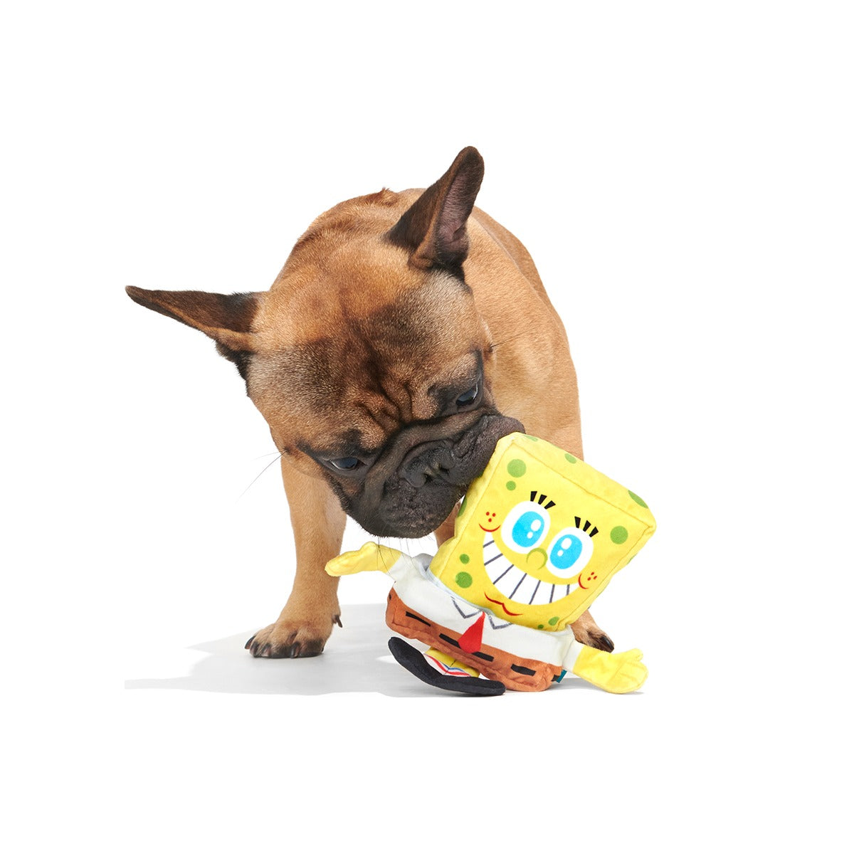 SpongeBob SquarePantsed Plush Multi-Part + Enrichment Dog Toy