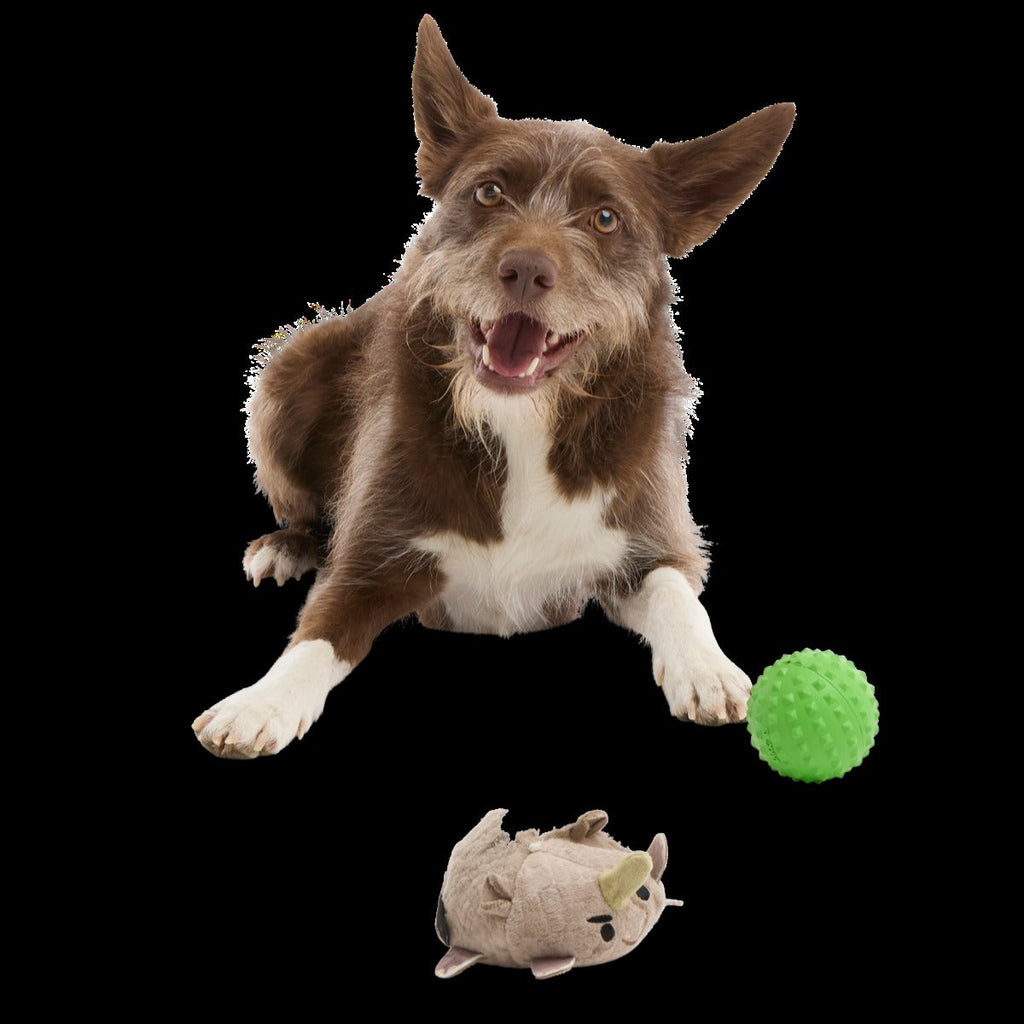 Ryan Ocerus Durable Super Chewer 2-in-1 Rip and Reveal + Fetch Dog Toy