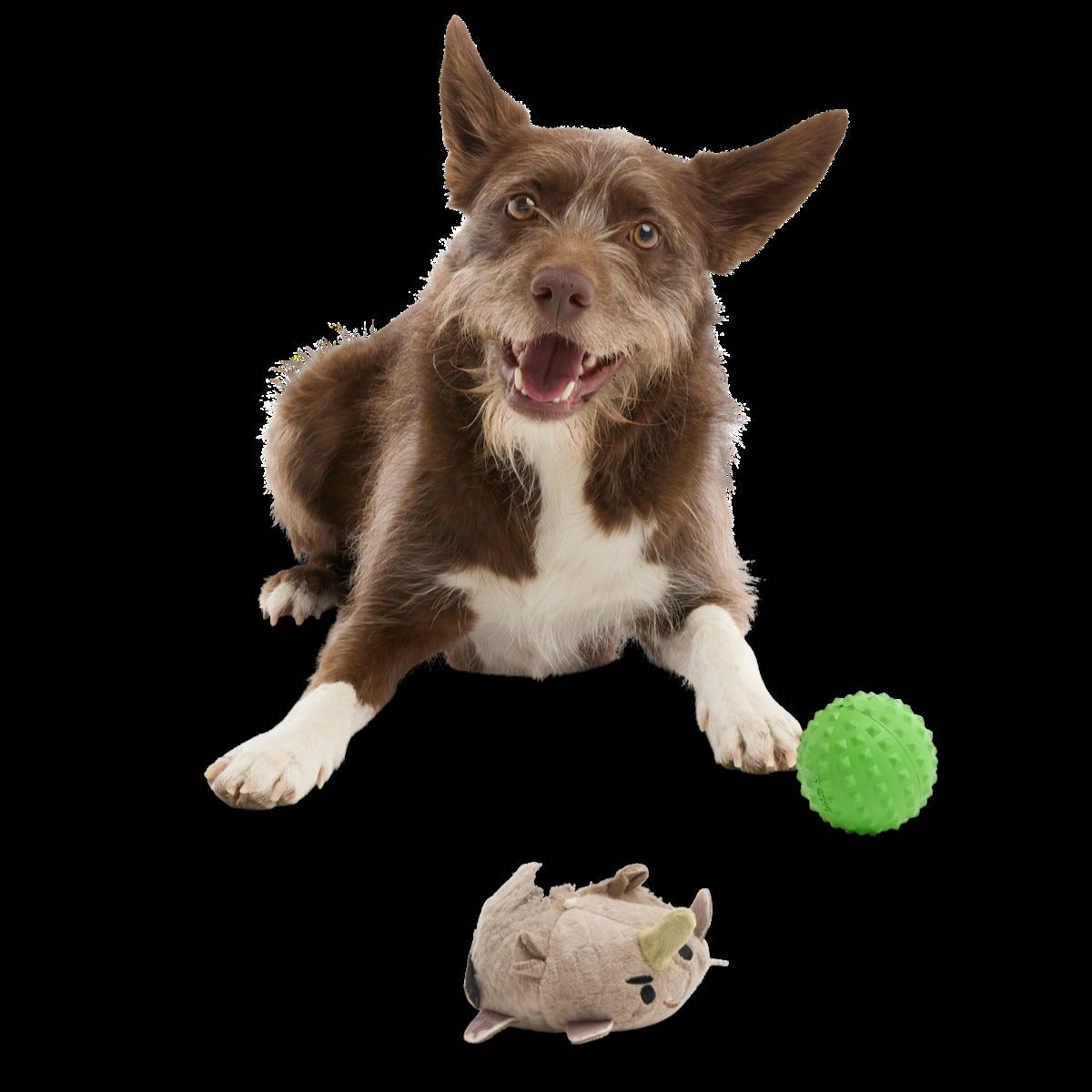 Ryan Ocerus Durable Super Chewer 2-in-1 Rip and Reveal + Fetch Dog Toy