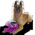 Final Boss Ollie Plush Extra-Large + Tug Dog Toy
