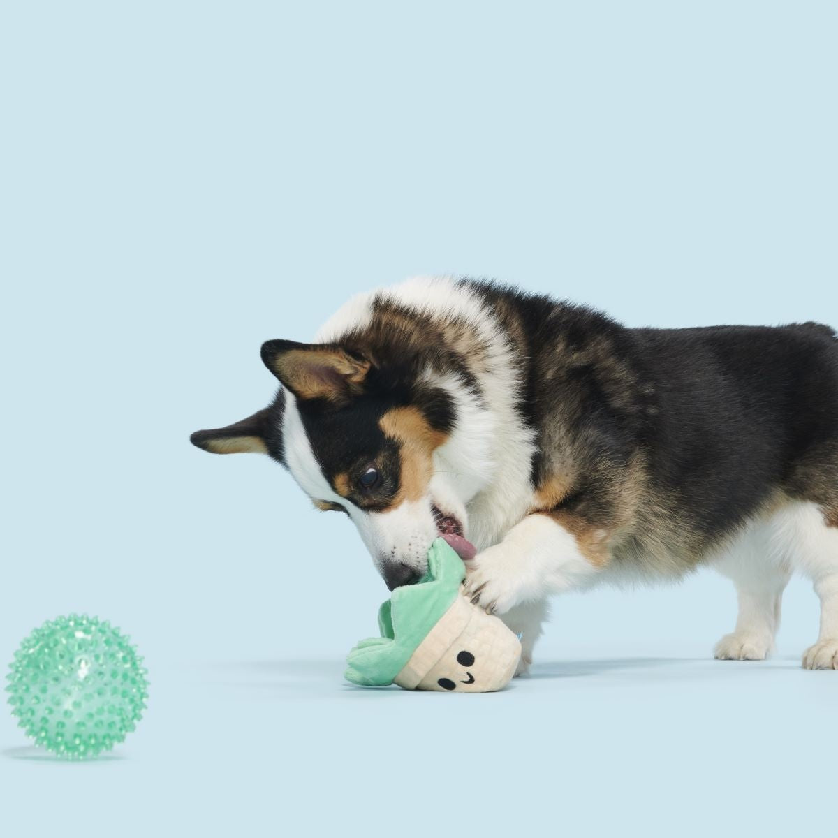 Suki Succulent Plush Multi-Part + Fetch Dog Toy