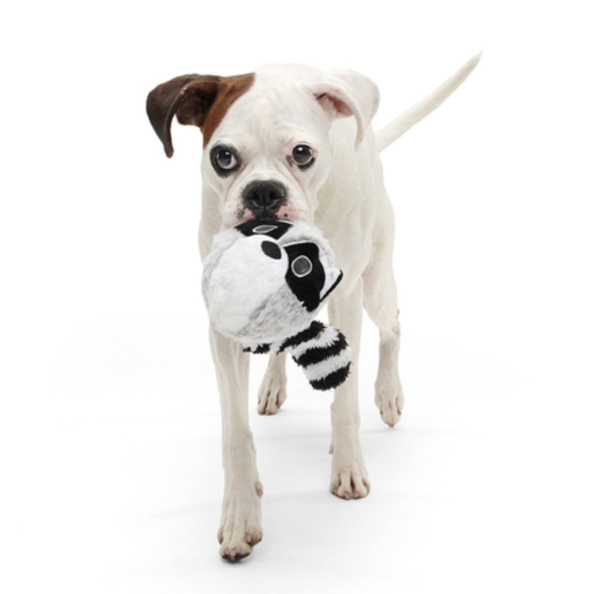 Thrash Panda Durable Super Chewer 2-in-1 Rip and Reveal Dog Toy