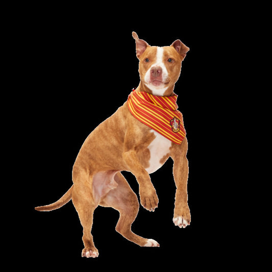 HARRY POTTERTM House Dog Bandana