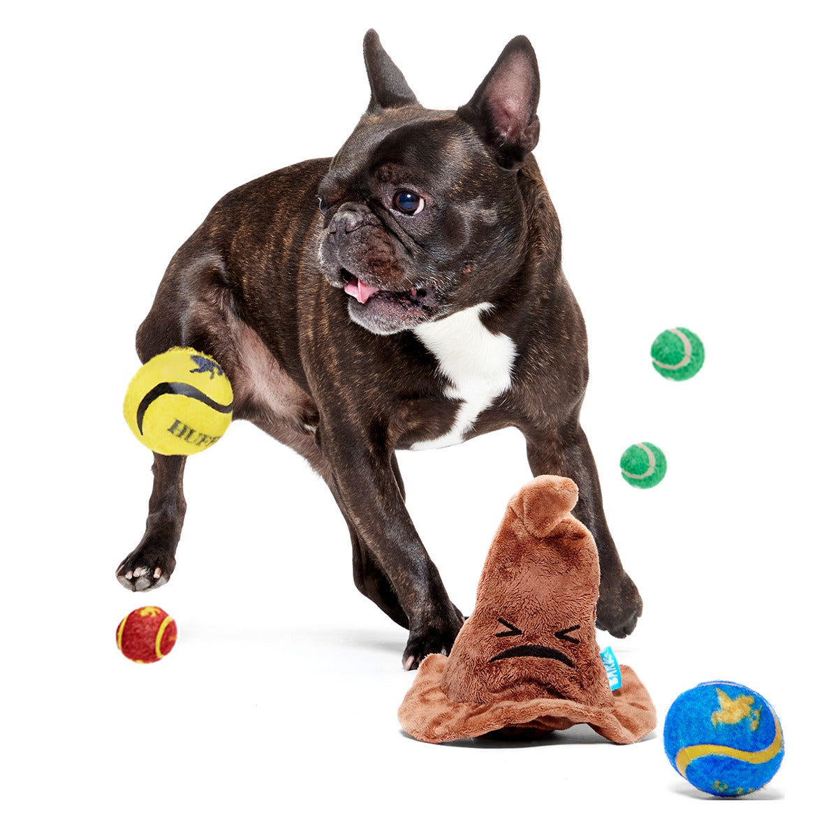 The Sorting HatTM Plush 2-in-1 + Fetch Dog Toy